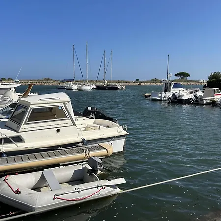 Saint-cyprien : Moderne Avec Piscine Et Parking - Fr-1-793-13 Apartmán *