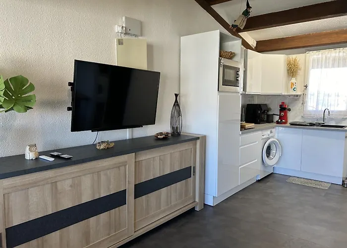 Daire Saint-cyprien : Moderne Avec Piscine Et Parking - Fr-1-793-13
